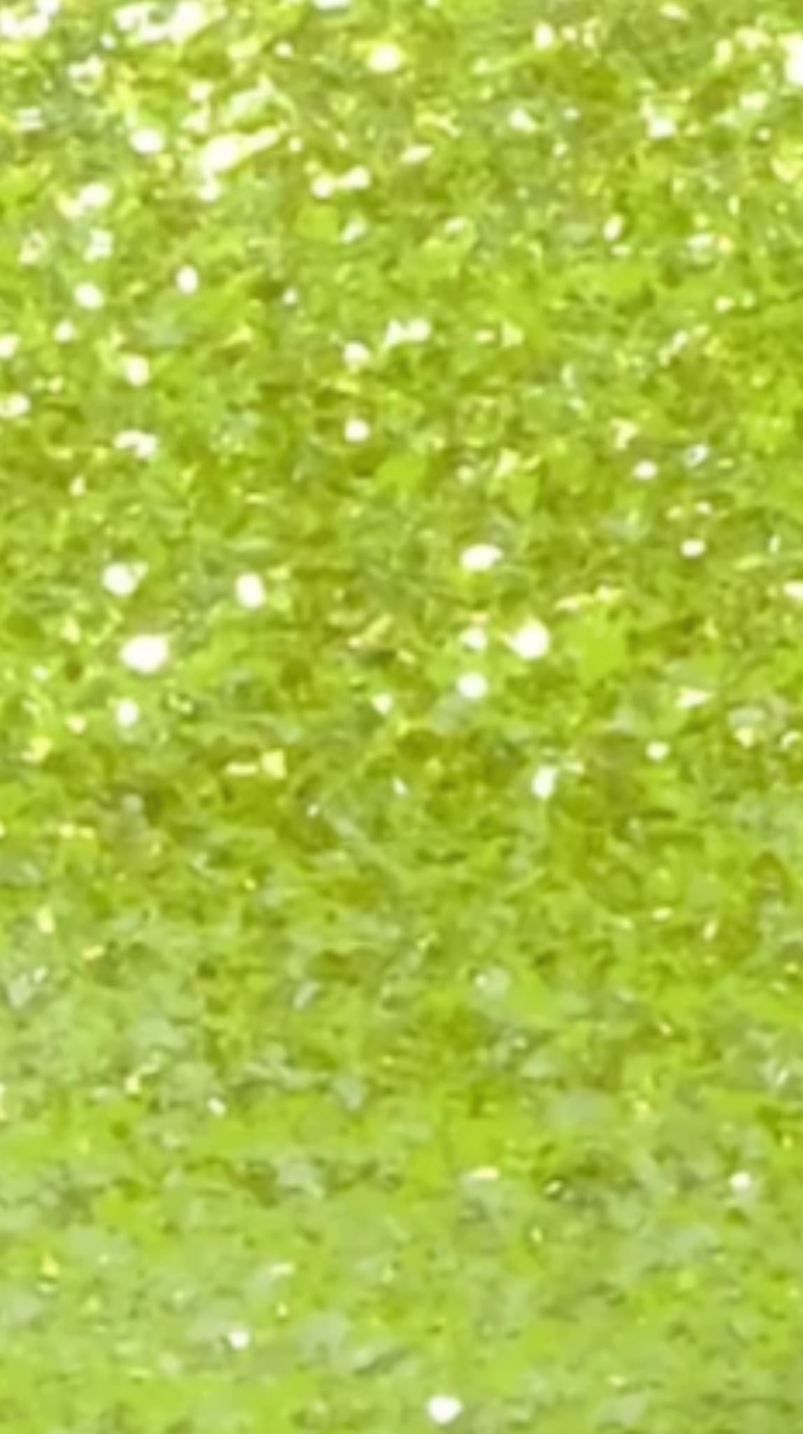 Citrus Grove